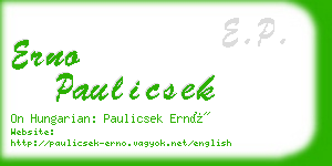 erno paulicsek business card